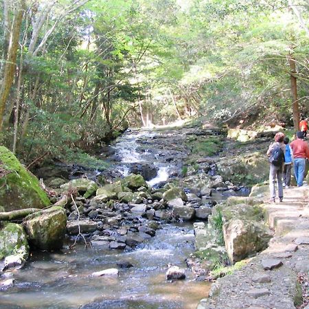 るり渓 フレアキャビン Nantan city Dış mekan fotoğraf