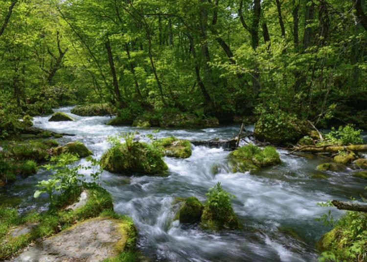 るり渓 フレアキャビン Nantan city Dış mekan fotoğraf