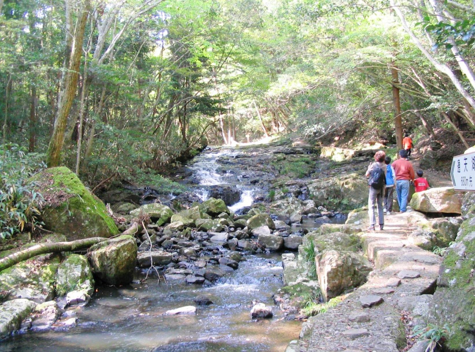 るり渓 フレアキャビン Nantan city Dış mekan fotoğraf